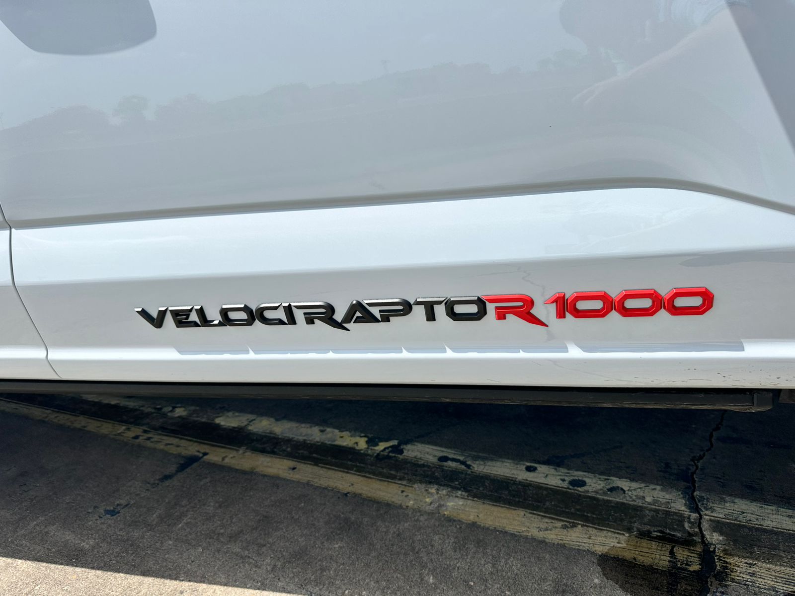 Velociraptor - View 3